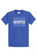 Load image into Gallery viewer, HLO-F FAN APPARELPort & Company® Fan Favorite™ Tee  SHORT SLEEVE Tshirt #3