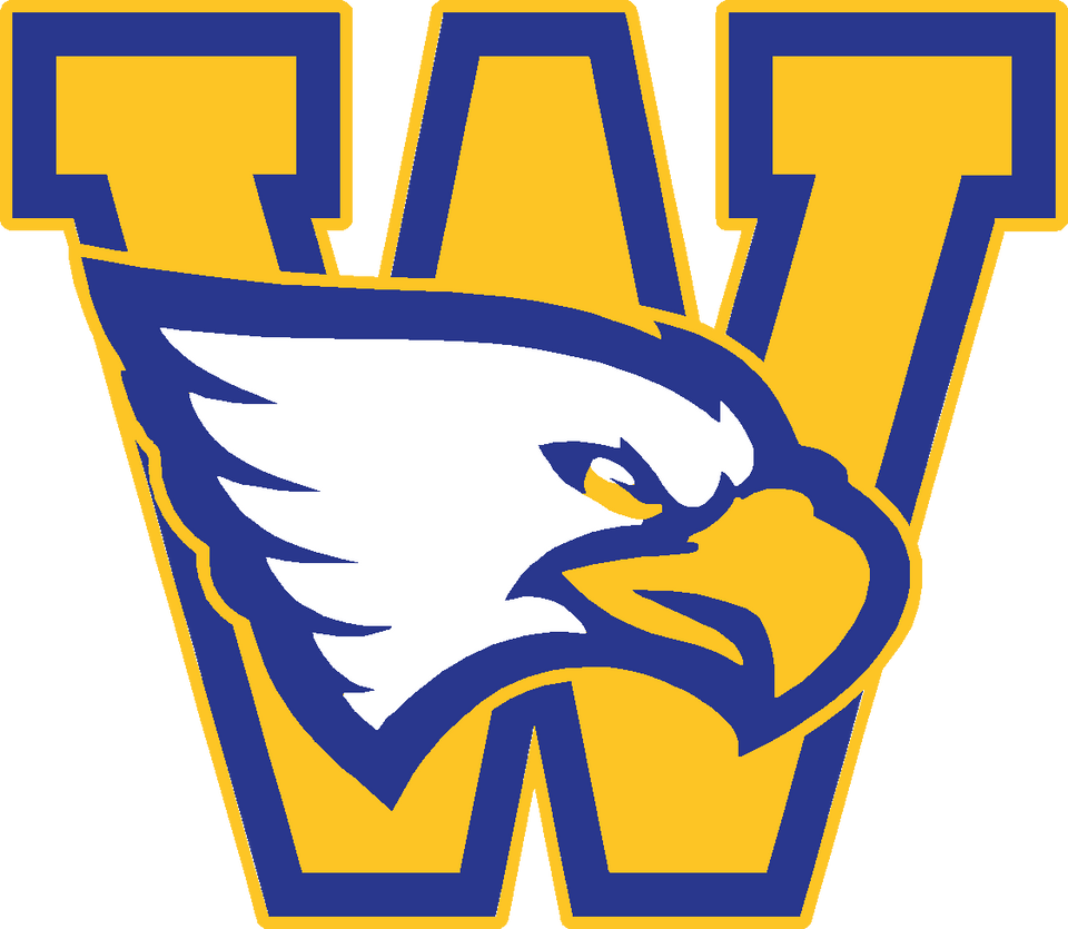 WINDOM EAGLE BOOSTERS