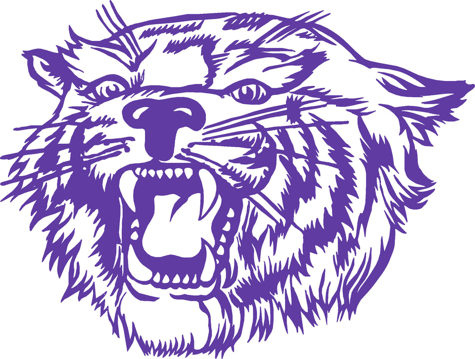 SHS Wildcats  Class of 1971