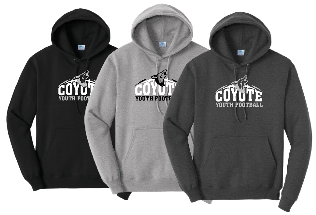 HLO-F COYOTE YOUTH FOOTBALL SWEATSHIRT