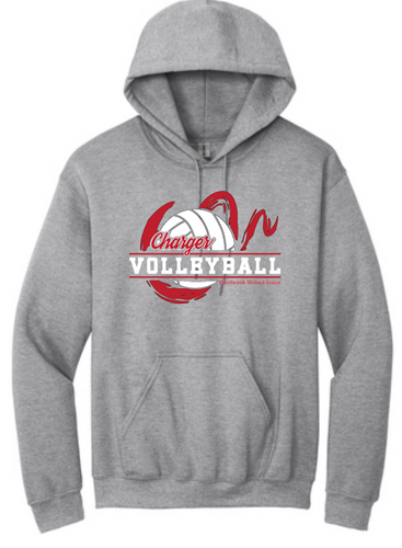 WWG Volleyball :  Gildan Hoodie - Unisex Grey